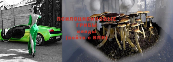 метадон Козельск