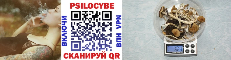 Купить где  Вилючинск  Псилоцибиновые грибы Cubensis 