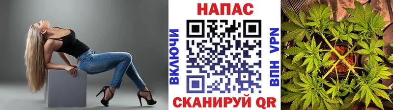 Каннабис MAZAR  Купить закладки  Вилючинск 
